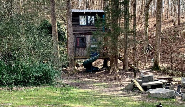 Rustic Woodland Treehouse with Fire Pit in Talking Rock, Georgia