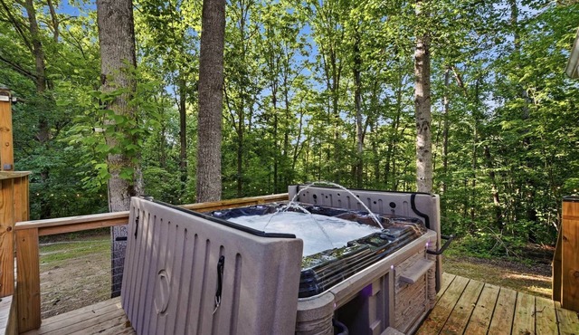 Secluded 10-acre villa, sleeps 18, hot tub!
