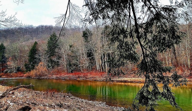 Secluded Cabin overlooking the Redbank River between Brookville & New Bethlehem