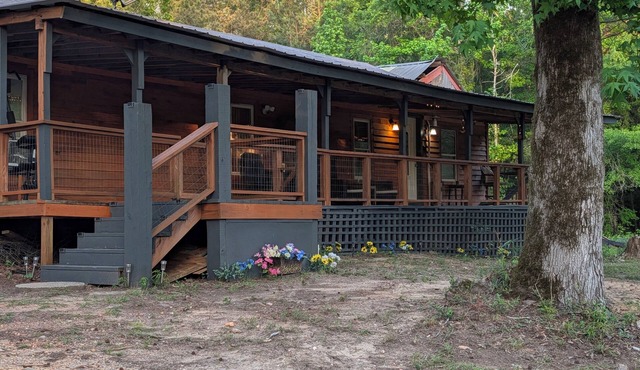 Serene 3-bedroom cabin in charming Eclectic 10 mins to monster mountain,