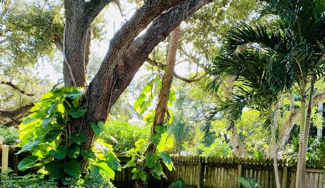 Serene Escape - Downtown Ft Lauderdale - 7 min drive to beach/airport/port