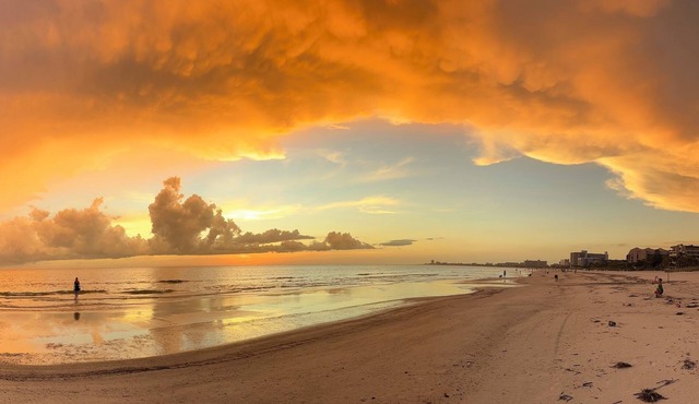 Siesta Key Dream Stay @ Sandy Toes 800' to private beach access. 3 Bed 3 Bath