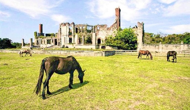 Sleeps 10,Near HWY I-95,40,17 & Kings Bay navybase,Cumberland Island,JAX airport