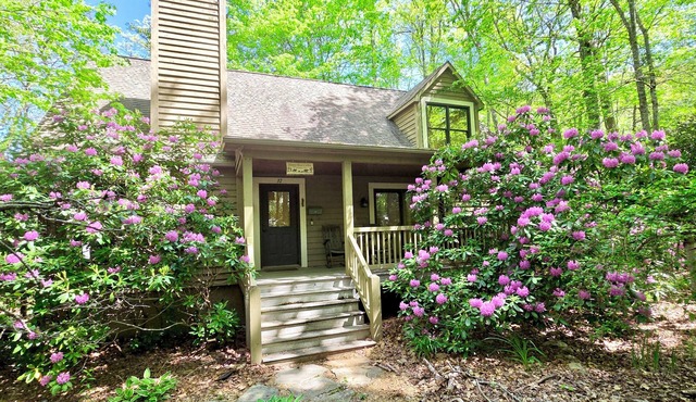Sleepy Bear Cabin: Tranquil Mountain Cabin w/Screened Porch in Wildwood Forest