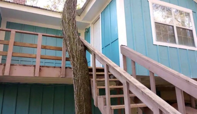 Smurf House on Thomas Mill