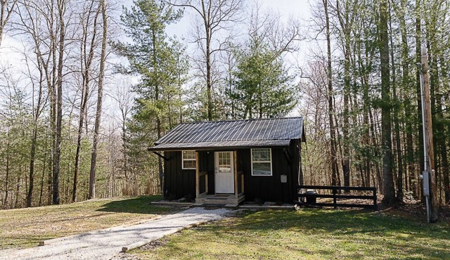 "Stars Hollow" Cozy Mini Cabin Stay - RRG