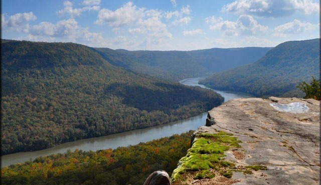 Tennessee River Gorge® Island Cabins® Swimming Pool-Stay 3-4th free!
