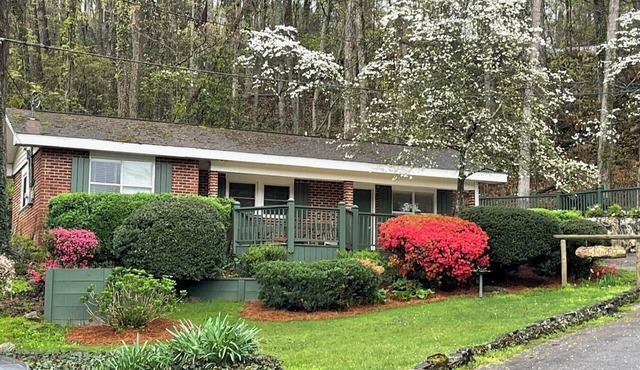 The Blue Ridge Cottage with large deck & mountain view