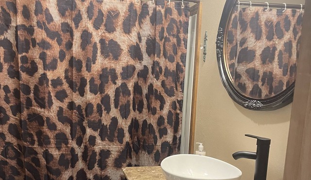 The Spotted Leopard