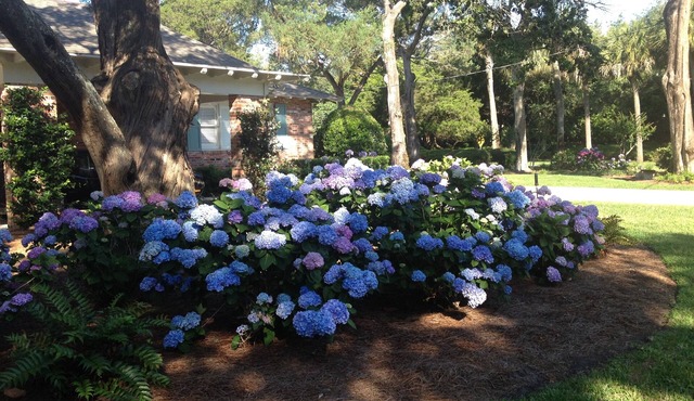 THIS IS BEST LOCATION ON SEA ISLAND-ONLY 2 BLOCKS to CLOISTER HOTEL & BEACH CLUB