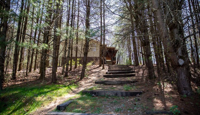 Timberline Cabins - The Pinewood Cottage - Hot tub, Fireplace, Pets