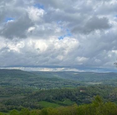 Tree top View 15