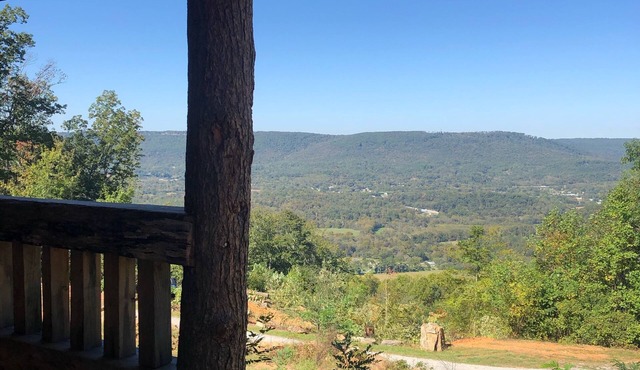 Tree Top View