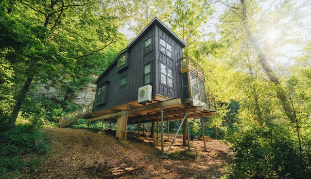 Treehouse 2 - Treehouses at Starved Rock