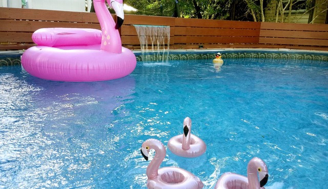 UPTOWN OASIS W PRIVATE, HEATED POOL, Minutes to all New Orleans' top attractions