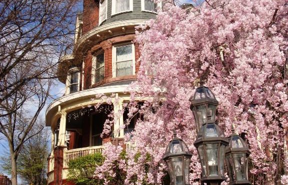 Wilson House Bed & Breakfast in Baltimore