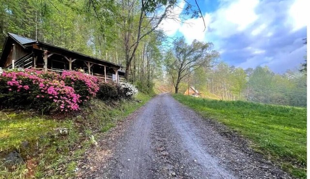WNC Cabin: Perfect family basecamp or getaway!nn