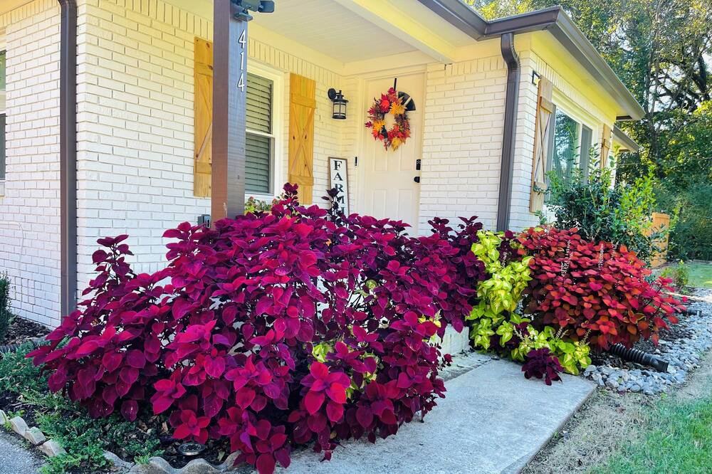 Photo of Outdoor in Bessemer