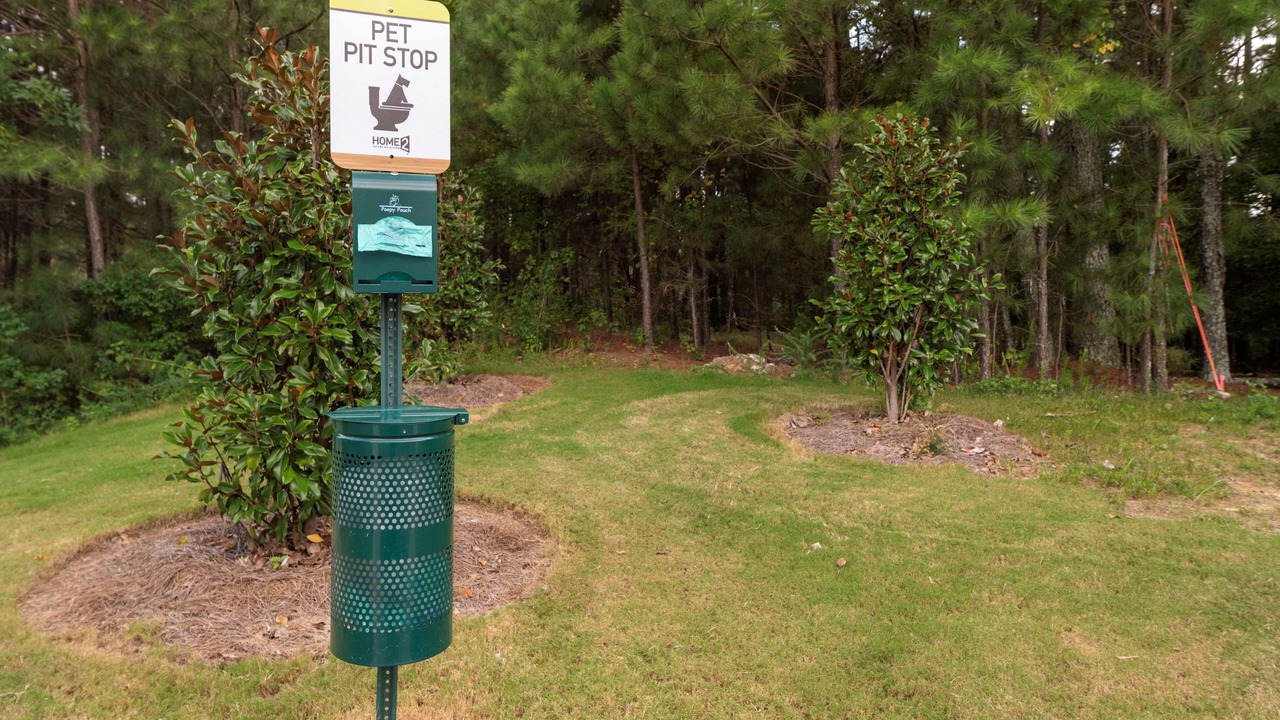 Photo of Outdoor in Buford