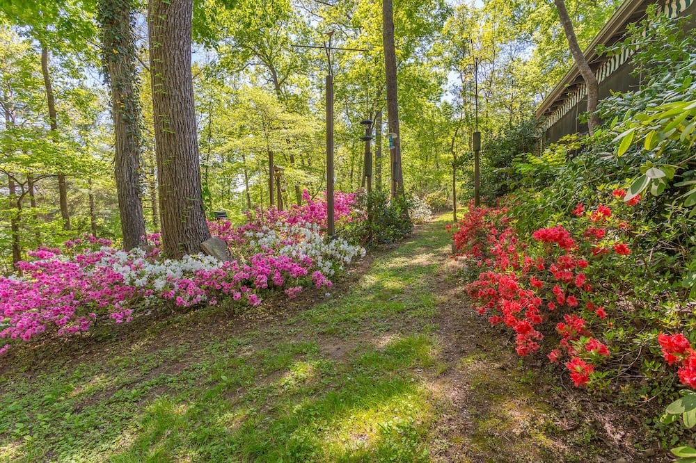 Photo of Outdoor in Harrison