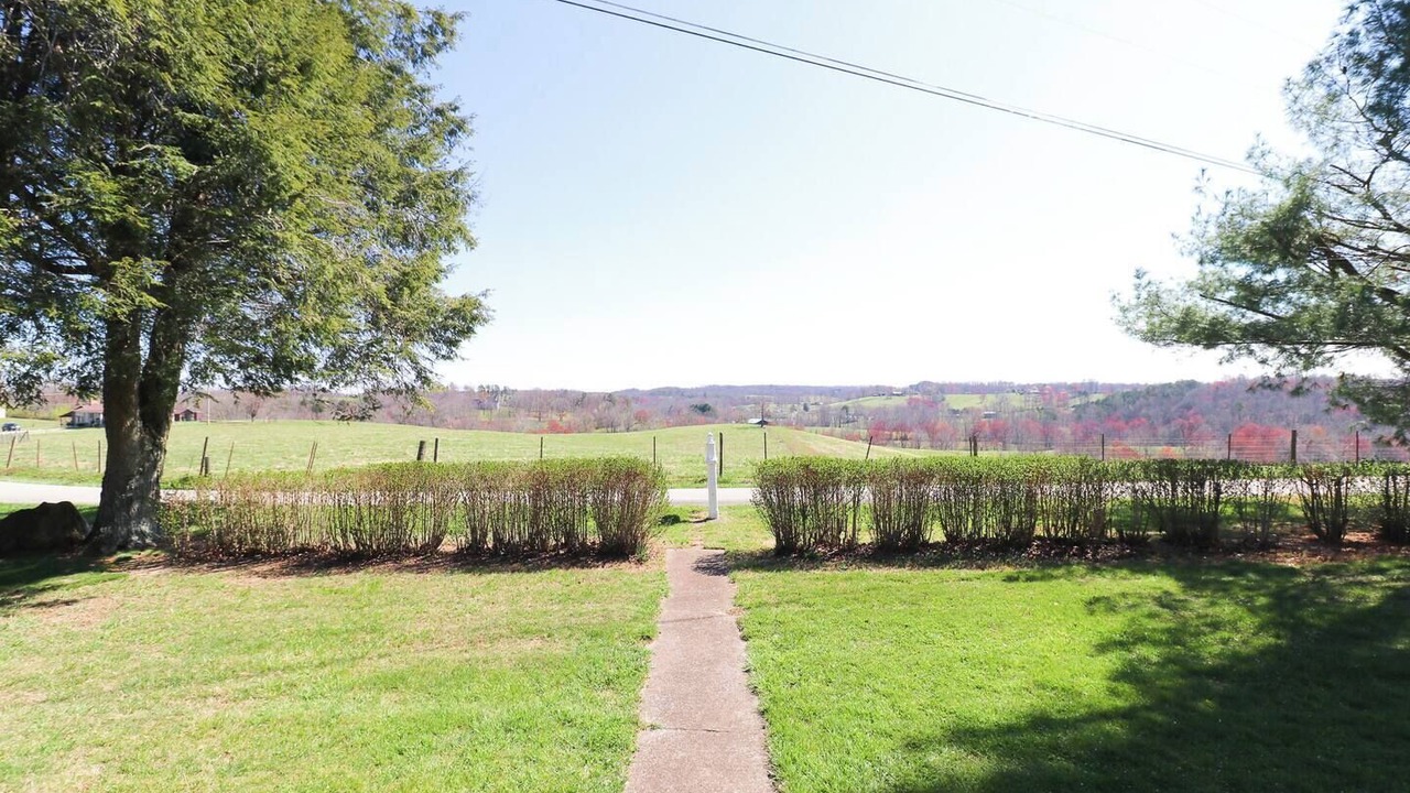Photo of Outdoor in Lily