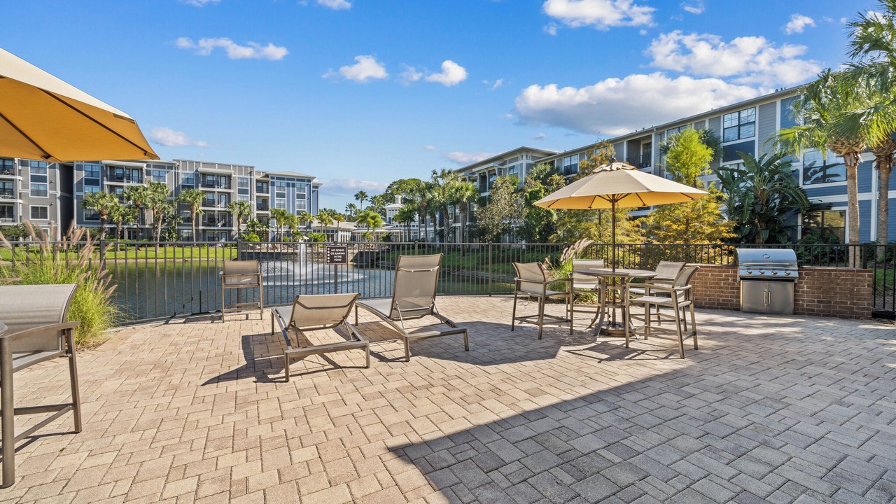 Photo of Outdoor in Tampa