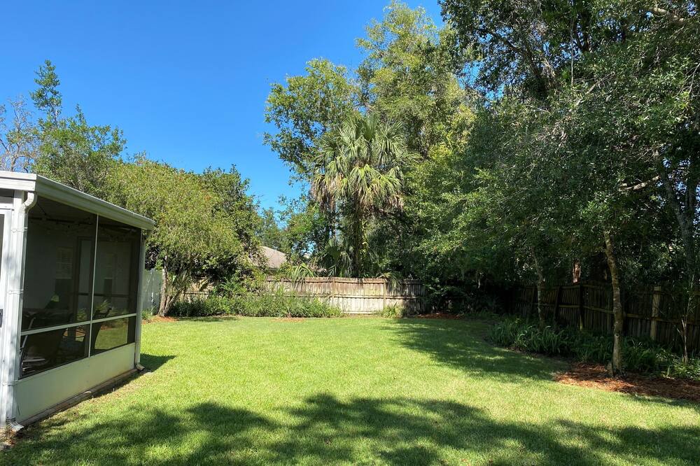 Photo of Outdoor in New Smyrna Beach