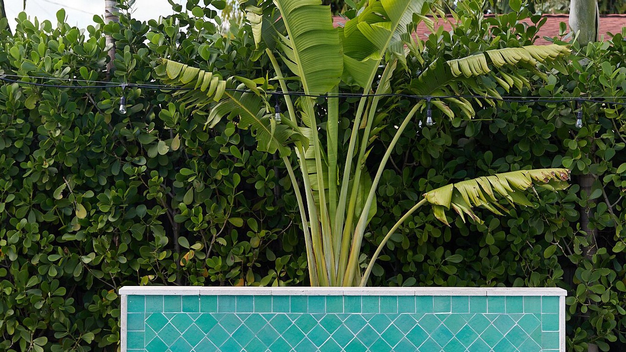 Photo of Outdoor in West Palm Beach