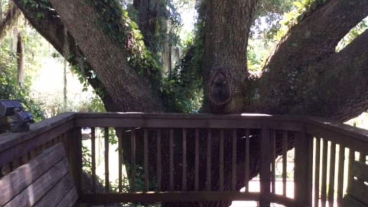 Photo of Outdoor in Bogalusa