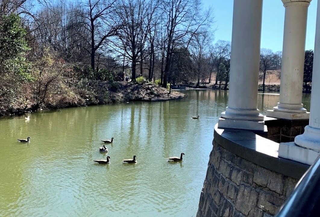 Photo of Others in Greater Valley Brook