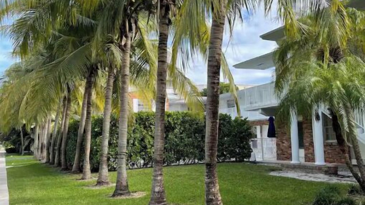 Photo of Outdoor in Key Biscayne