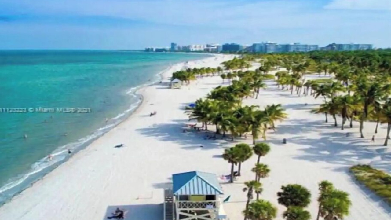 Photo of Others in Key Biscayne