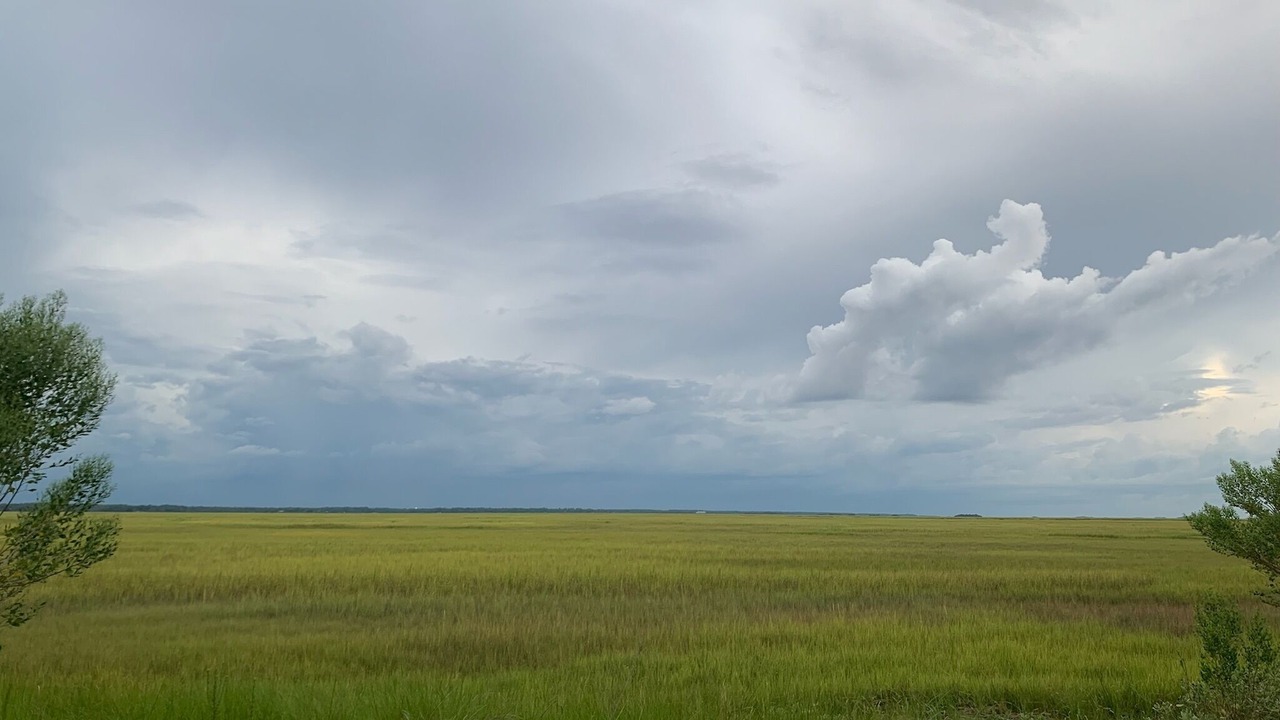 Photo of Outdoor in St. Simons Island