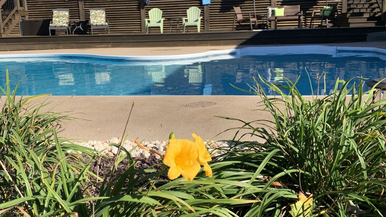 Photo of Outdoor in Campobello