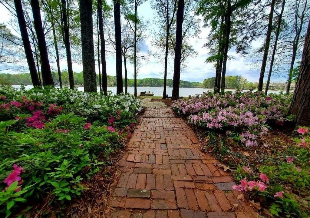 Photo of Outdoor in Misty River