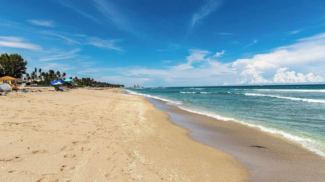 Photo of Others in Palm Beach