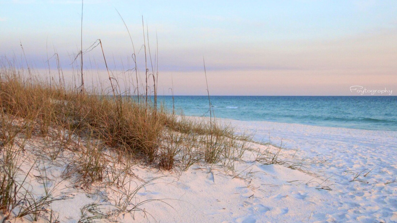 Photo of Others in Sandestin