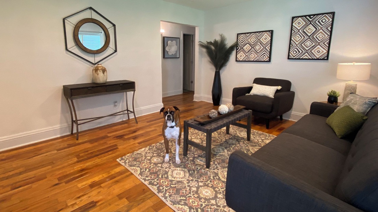 Photo of Livingroom in College Park
