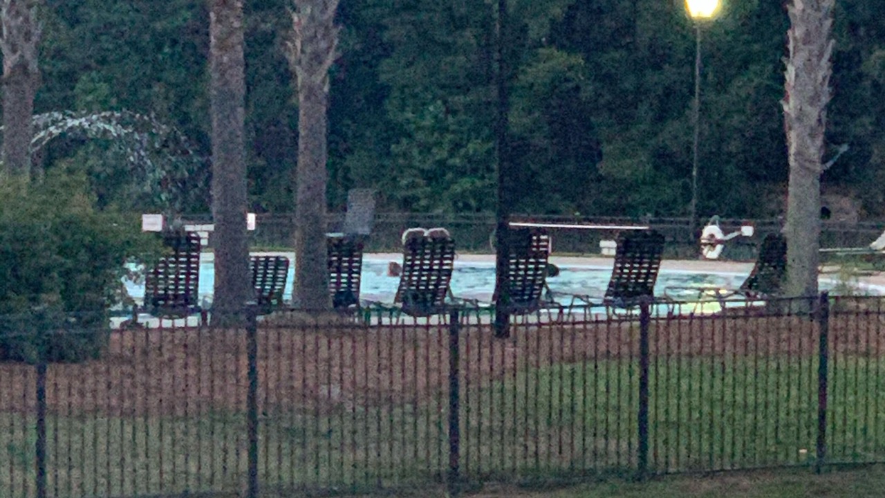 Photo of Outdoor in Port Wentworth