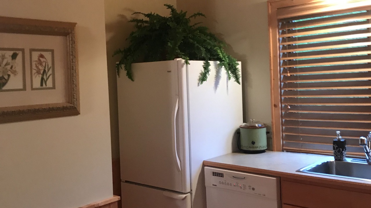 Photo of Others in Sapphire