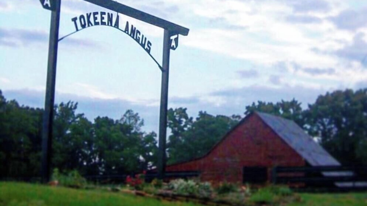 Photo of Others in Seneca
