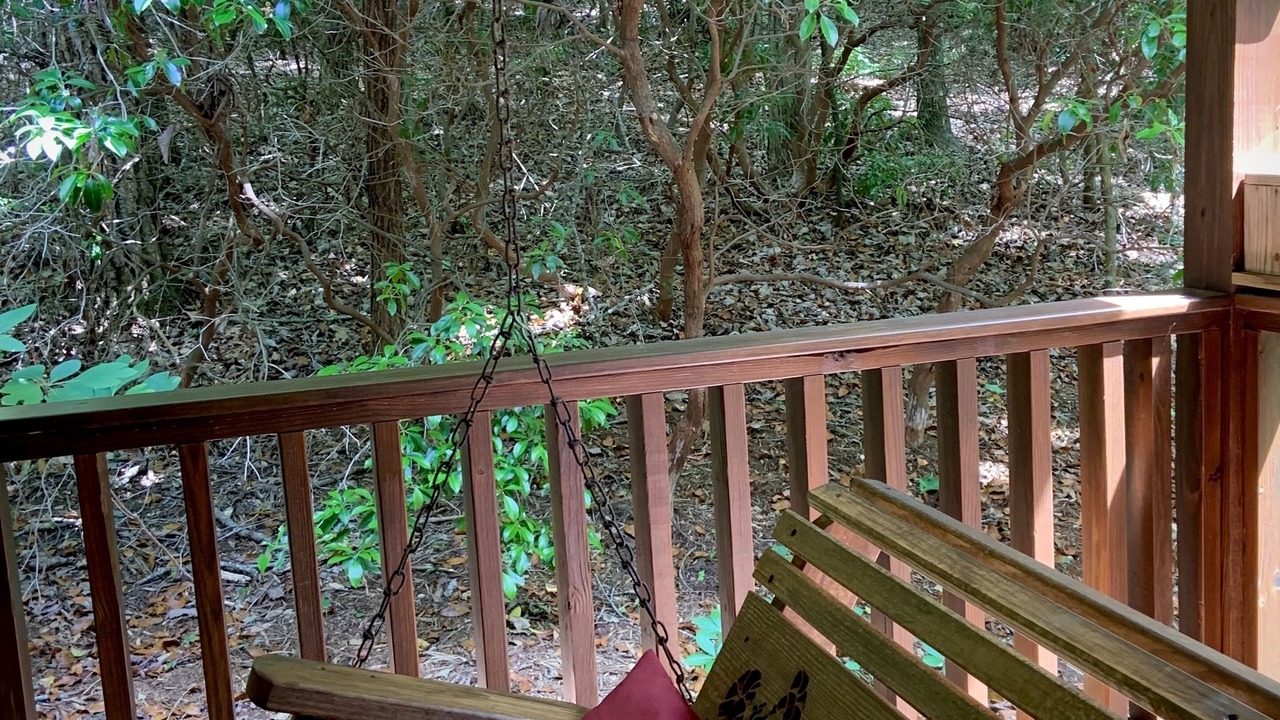 Photo of Outdoor in Blairsville