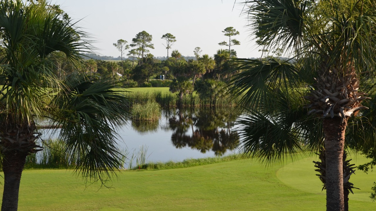 Photo of Others in Saint Helena Island