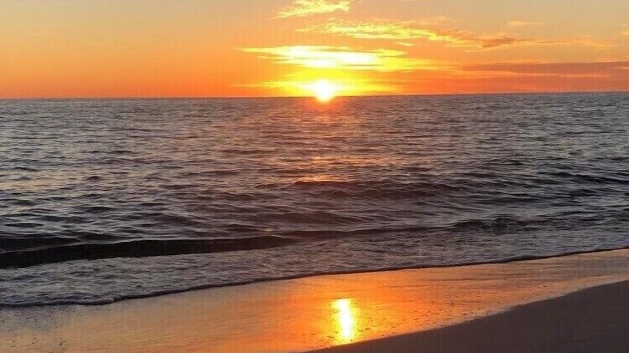 Photo of Others in Panama City Beach