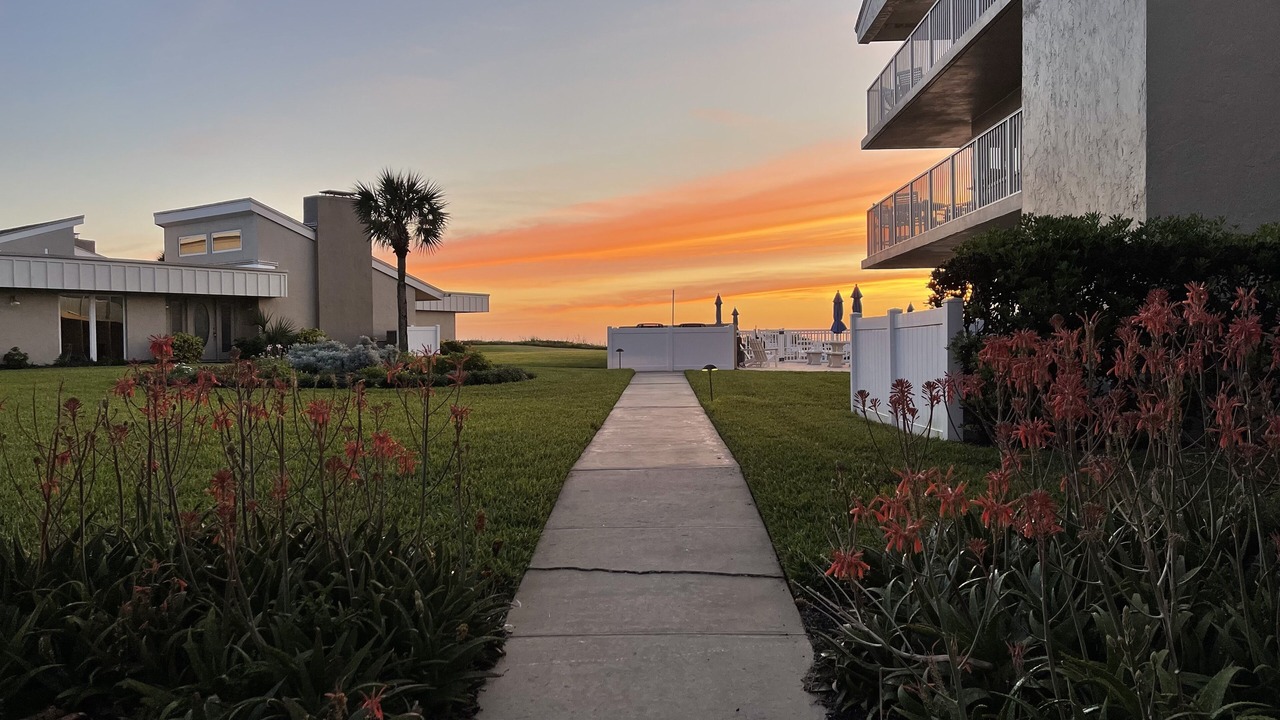 Photo of Others in New Smyrna Beach
