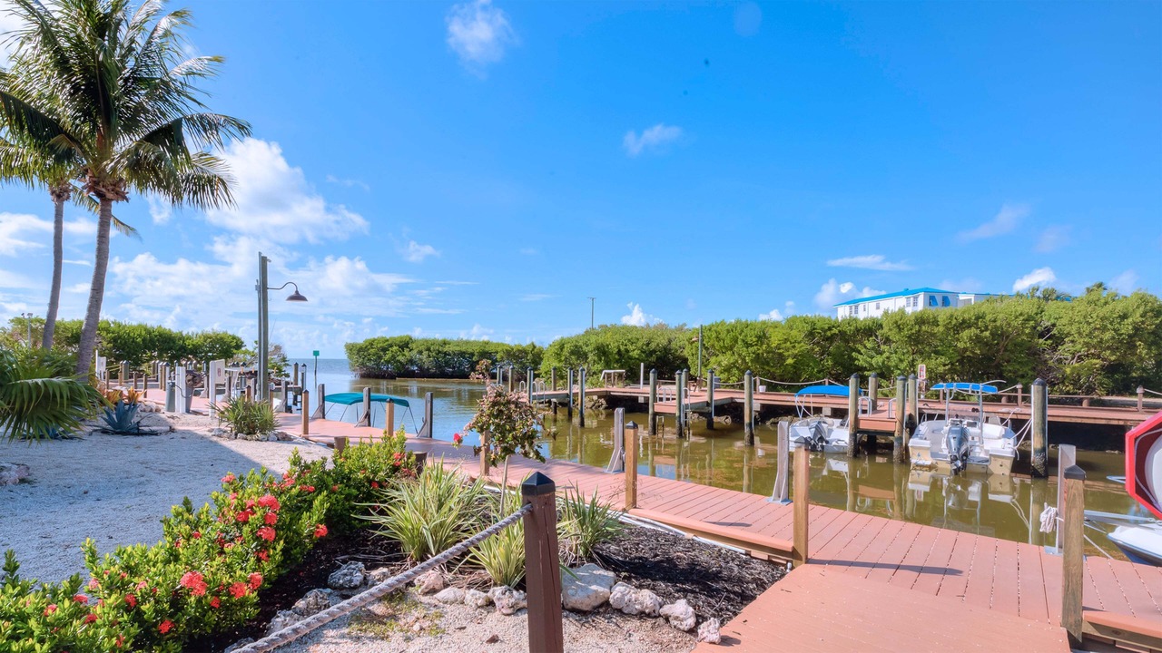 Photo of Outdoor in Tavernier