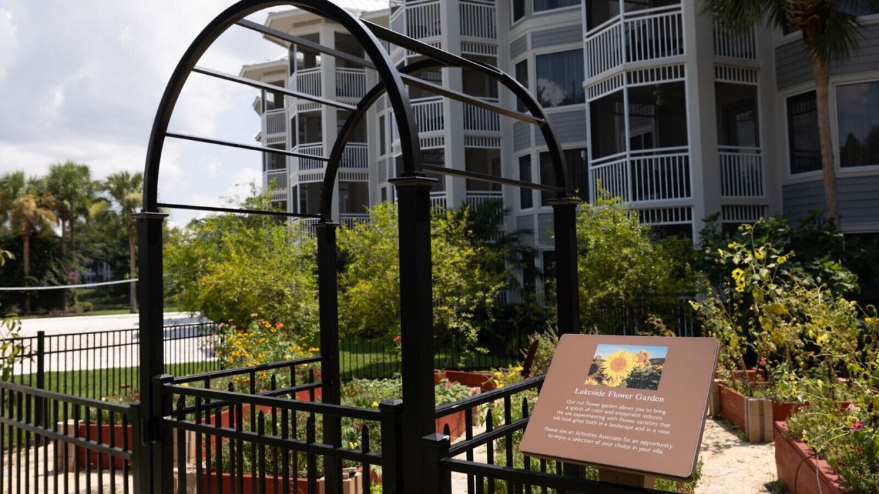 Photo of Outdoor in Florida Central Atlantic Coast