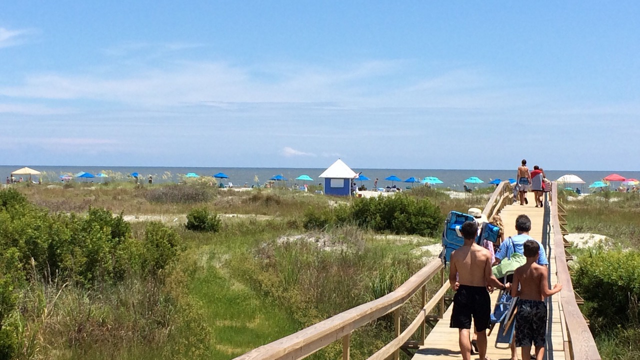 Photo of Others in Saint Helena Island