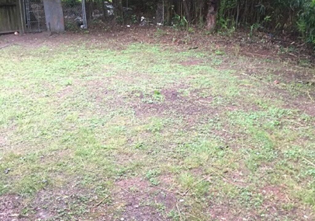 Photo of Outdoor in Glen Iris