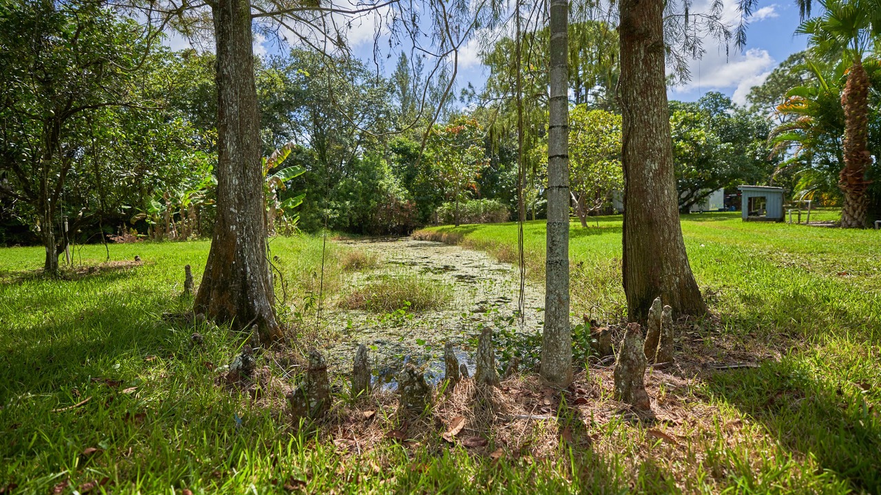 Photo of Outdoor in Lake Worth